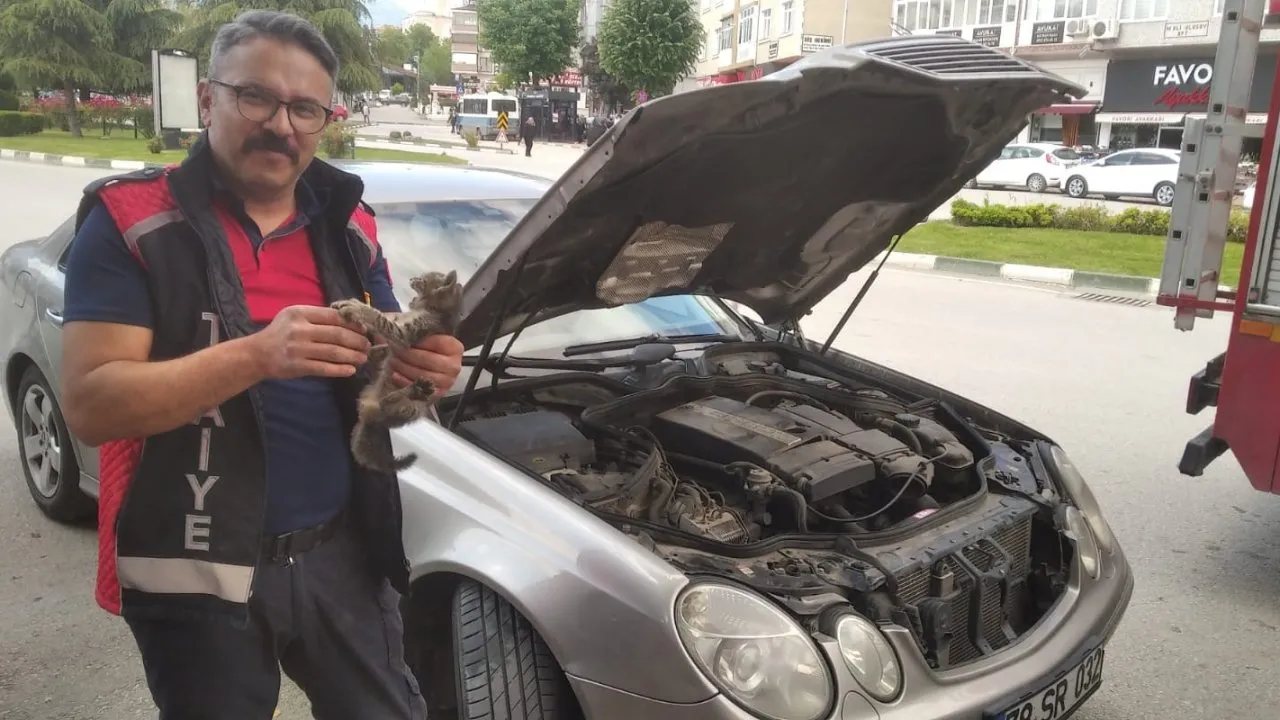KARABÜK’ÜN SAFRANBOLU İLÇESİNDE MOTOR BÖLÜMÜNE SIKIŞAN KEDİ KURTARILDI