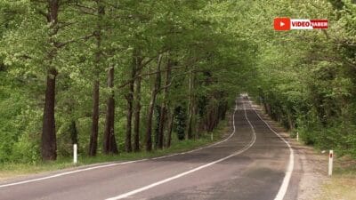 SAFRANBOLU ULUS AĞAÇ TÜNEL YOLU: DOĞANIN YEŞİL MÜCİZESİ Safranbolu Ulus Ağaç Tünel Yolu, dallarıyla gökyüzünü kapatan ağaçlarıyla büyüleyici