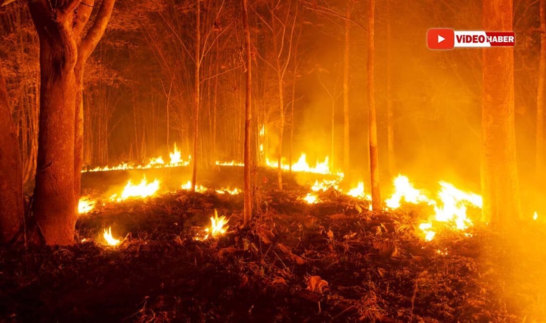 Karabük Aladağ'da çıkan orman yangını paniğe neden oldu. Ekiplerin hızlı