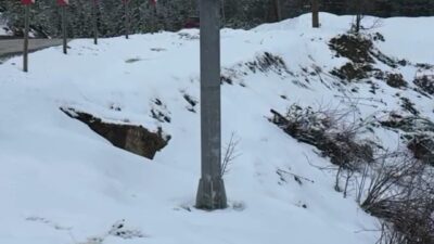 Karabük-Bartın kara yolunun 1030 rakımlı Ahmetusta Geçidi'nde yağışın ardından ormanlık