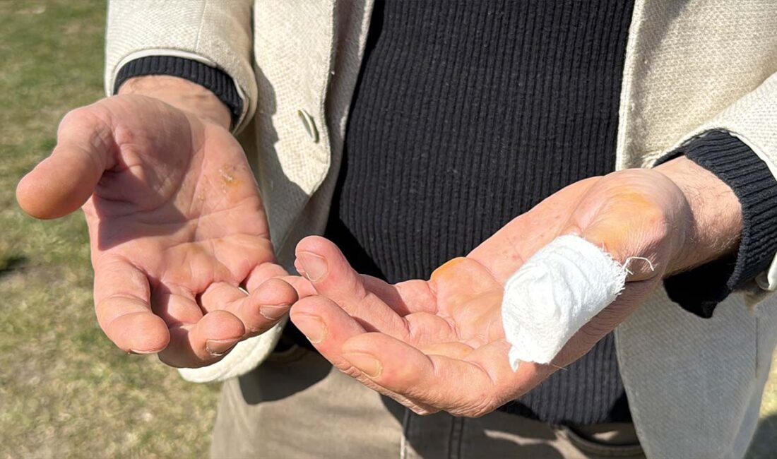 Karabük’te parkta köpeğini gezdiren Yalçın Açıkgöz, sahipsiz pitbull cinsi köpeğin